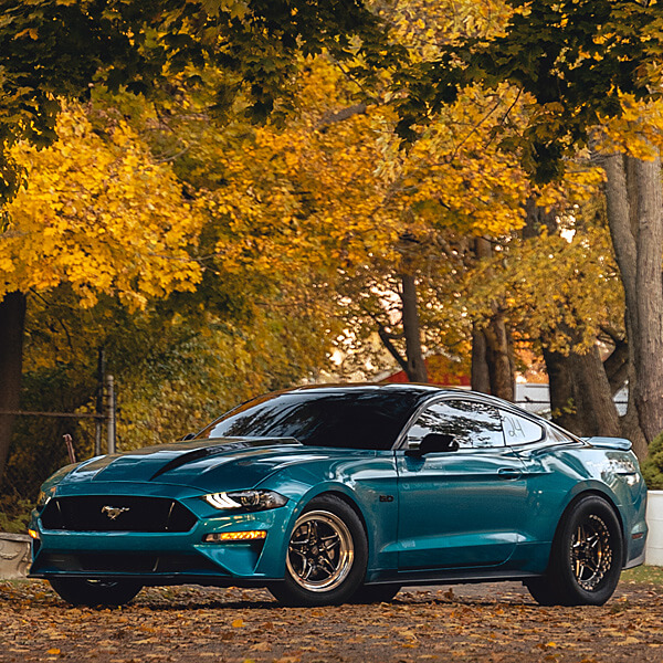 جوانا في العمل